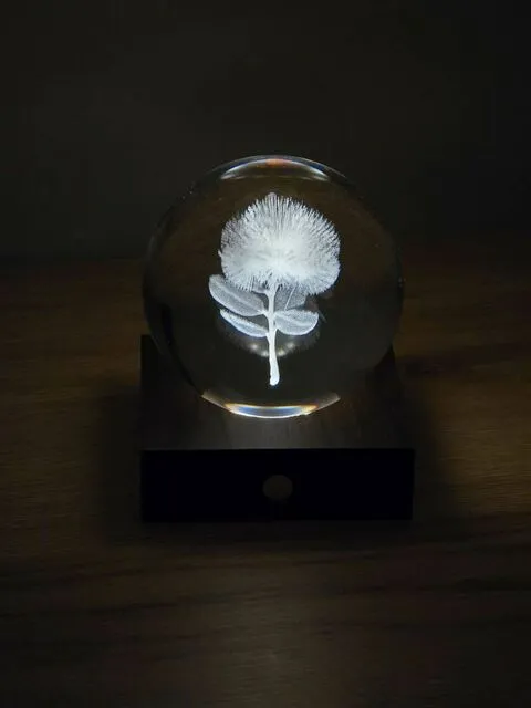 Gingko Amber Crystal Light 3D Laser Engraved Pohutukawa